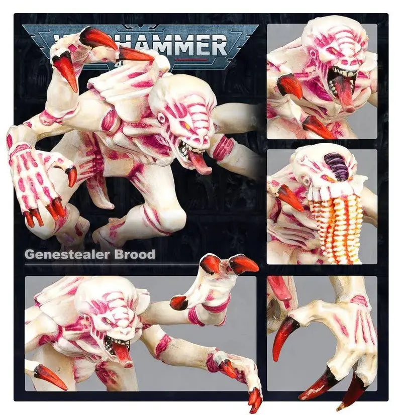 Warhammer 40,000 Tyranids Battleforce – Brood Swarm Starter Set for Competitive & Narrative Play