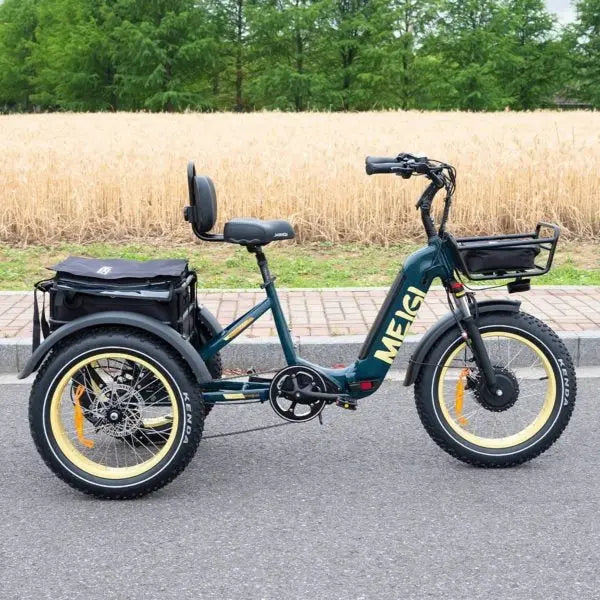 Silverado 20 Folding Electric Tricycle – 48V/14Ah, 750W Motor, Wide-Tread Design, 150 kg Load Capacity