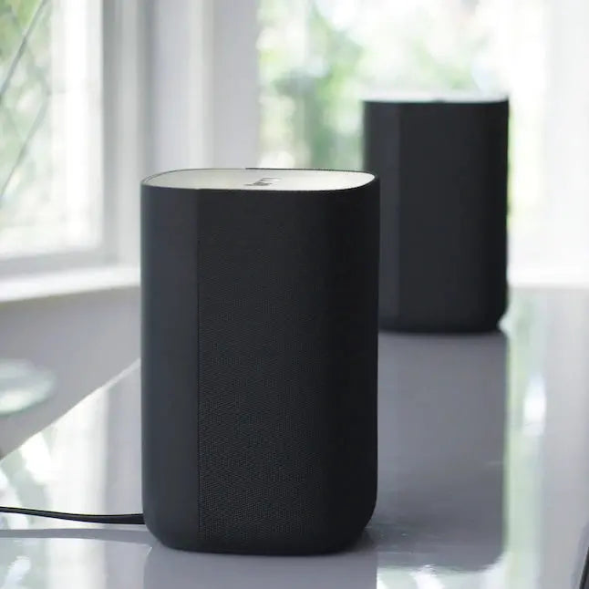 Roku Wireless Smart Speakers – 2-Pack, 80-Watt Indoor Portable Audio System