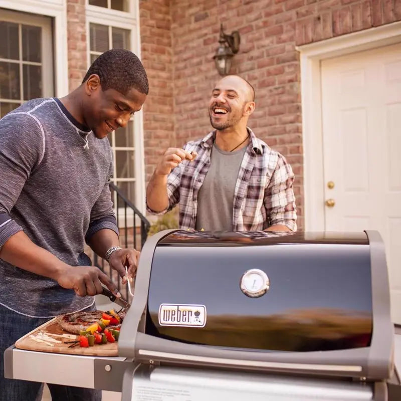Weber Spirit E-210 — 2-Burner Liquid Propane Gas Grill in Sleek Black