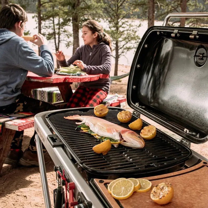 Weber Traveler Portable Gas Grill – Compact, Foldable, and Ideal for Camping or Tailgating