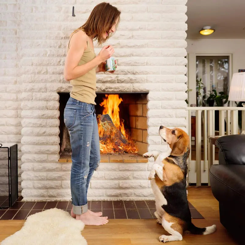 Ventless Ceramic Gas Fireplace Log Set – Realistic 9 or 10-Piece Assembly